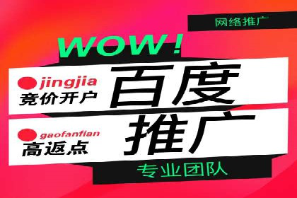 某行业sem代运营推广公司成功案例分析